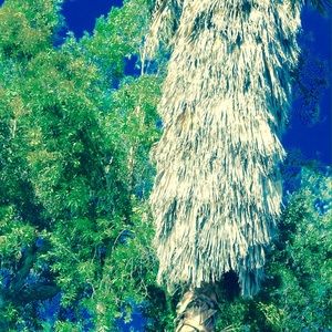 Meet your Posher, Mia