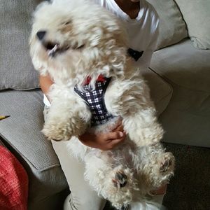 Meet your Posher, Patty