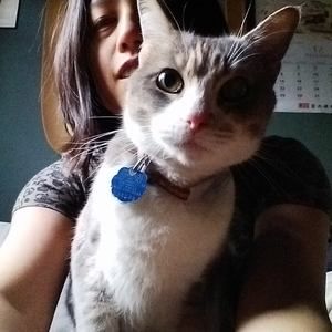 Meet your Posher, Amity