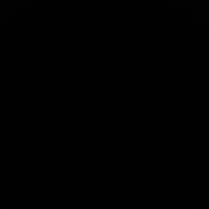 Meet your Posher, Cesar