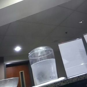 Meet your Posher, Dawn