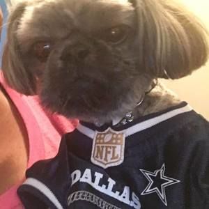 Meet your Posher, Kimisha