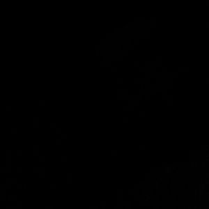 Meet your Posher, Joy