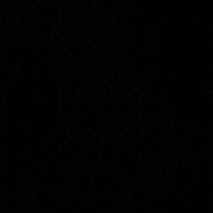 Meet your Posher, Kionna