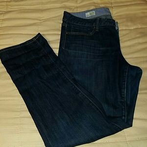 Gap 1969 Real Straight jeans