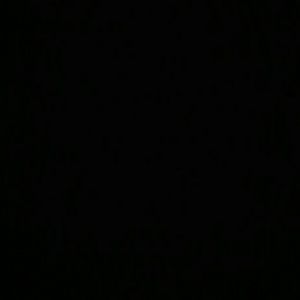 Meet your Posher, Fred