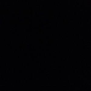 Meet your Posher, Josephine