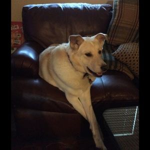 Meet your Posher, Deb