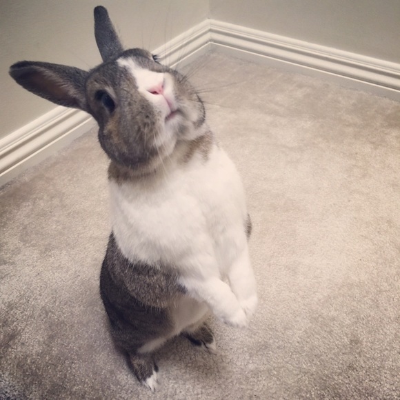 [ Hi! ] I'm Kasey, nice to meet you! - Picture 4 of 4