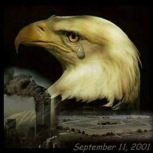 Meet your Posher, Kristy