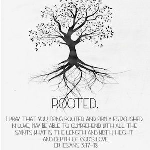 Meet your Posher, Nichol