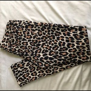Kate spade leopard print broom street jeans