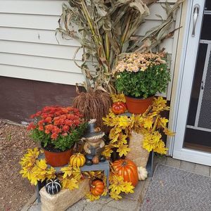 Meet your Posher, Donna robert