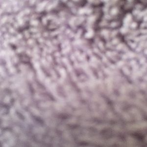 Meet your Posher, Ellen m