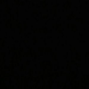 Meet your Posher, Mishani