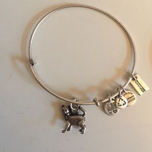Alex and Ani, Cat Charm Bracelet