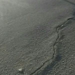 Meet your Posher, Paul