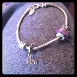 Pandora charm bracelet