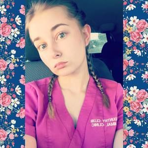 Meet your Posher, Taylor