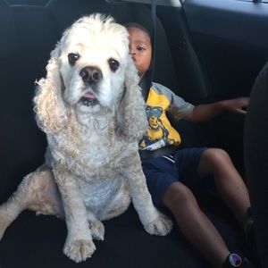 Meet your Posher, Adrian