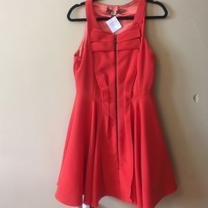 👑NWT Eva Franco Fit and Flare Zip Dress 12P👑