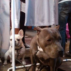 Meet your Posher, Cheng-wei