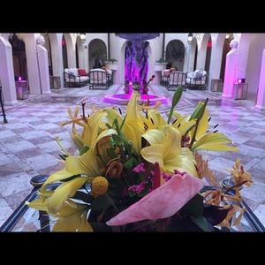 Meet your Posher, Freddy