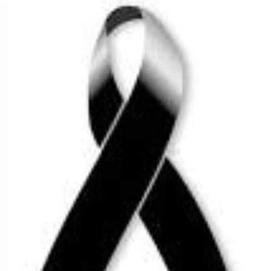 Meet your Posher, Alondra