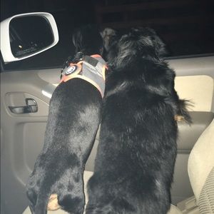 Meet your Posher, Donna