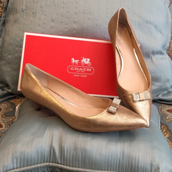 Coach Monroe Tonal Metallic Pump (Platinum), 10M