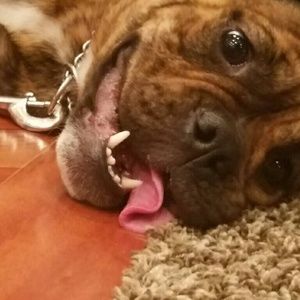 Meet your Posher, Brianne