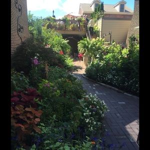 Meet your Posher, Nekiesha