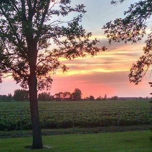 Meet your Posher, Jane