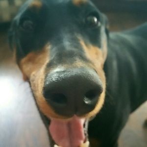 Meet your Posher, Crystal