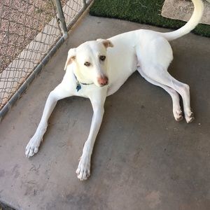 Meet your Posher, Suzanne