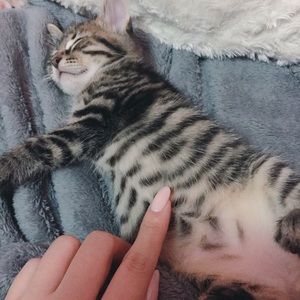 Meet your Posher, Thuy