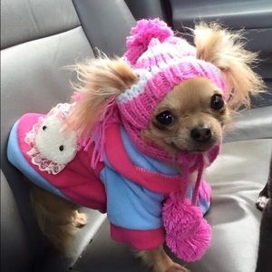 Meet your Posher, Cindy