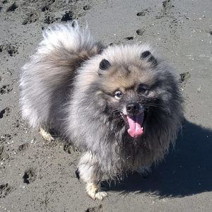 Meet your Posher, Ellen