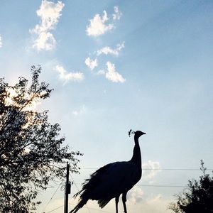 Meet your Posher, Caitlyn