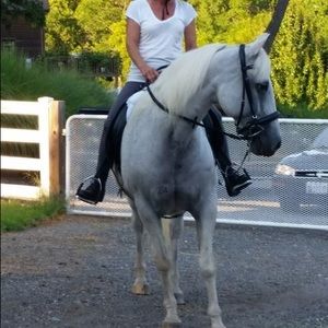 Meet your Posher, Gudrun