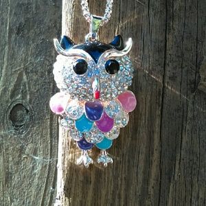 Very Cool Owl Pendant and Necklacd