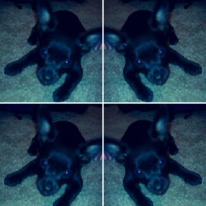 Meet your Posher, Armida