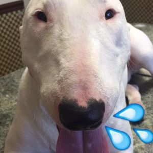 Meet your Posher, Maximilian