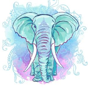 Meet your Posher, Luisa