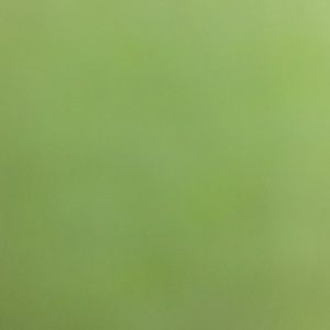 Meet your Posher, Nina