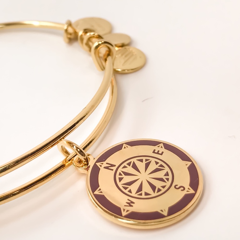 Alex and Ani Compass gold color shiny charm bangle