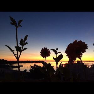 Meet your Posher, Martina