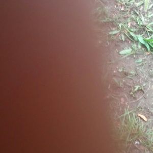 Meet your Posher, Fatima