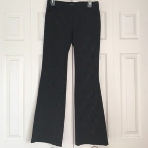 Express Design Studio Editor Pants