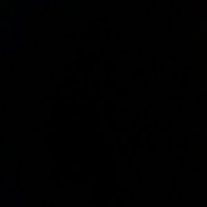 Meet your Posher, Benny